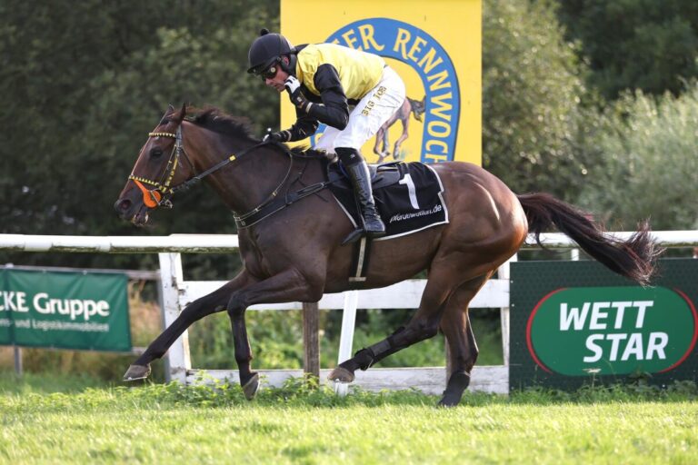 Krokodile Dundee beißt zu: Jagdrennen-Sieg nach Bumper-Pleite