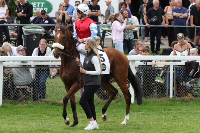 Derby- und Dallmayr-Dritter: Lazio bei BBAG Online-Auktion