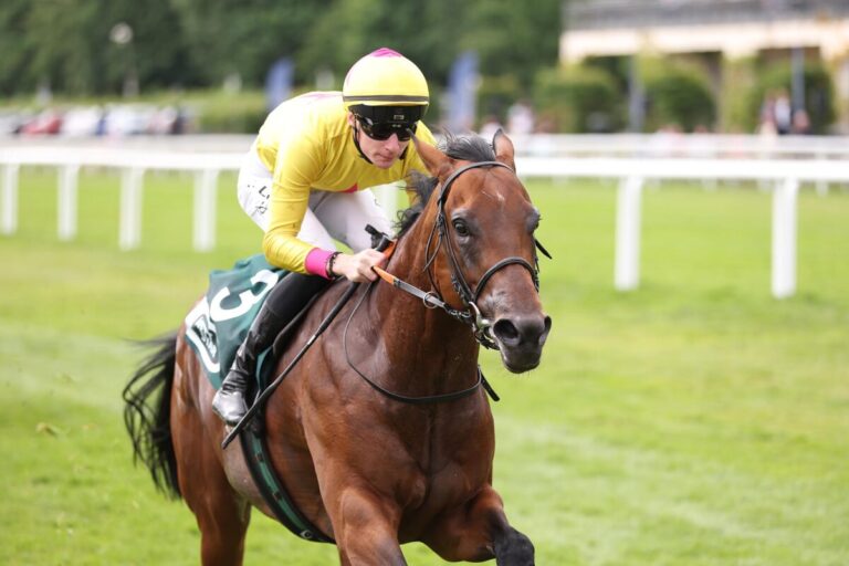 My Universe (Archiv)