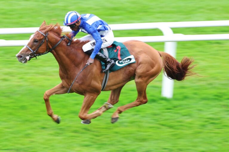 Northern Olympian siegt unter Eduardo Pedroza
