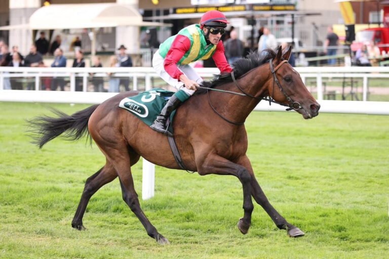 Orkan von Marlow siegt unter Matthew Johnson