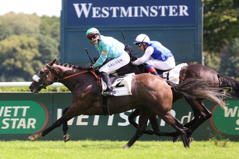 Jetzt Wallach – Zwei Gruppesieger kastriert