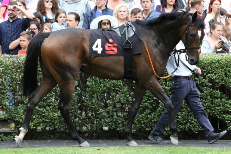 Nach Derbysieg – Das ist die nächste Gruppe I-Chance für Nina Baltromei