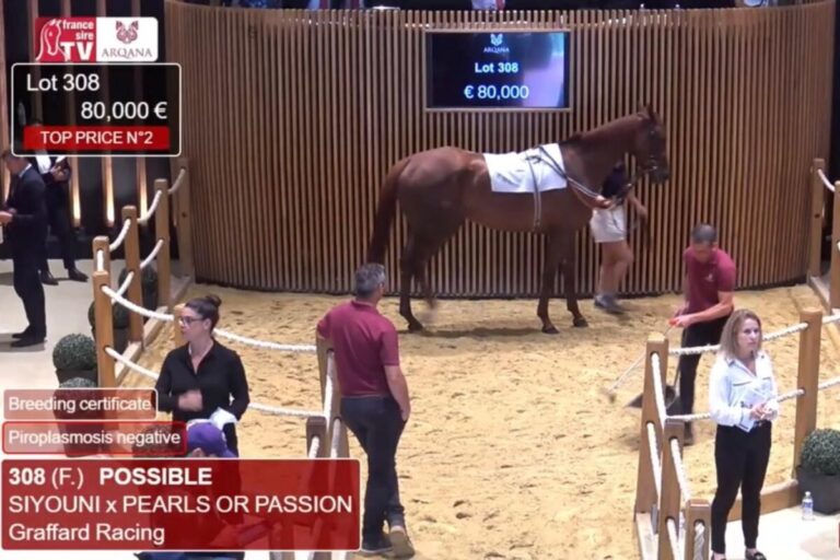 Bei Arqana: Kötz kauft nach Biete-Duell Al Thani-Stute