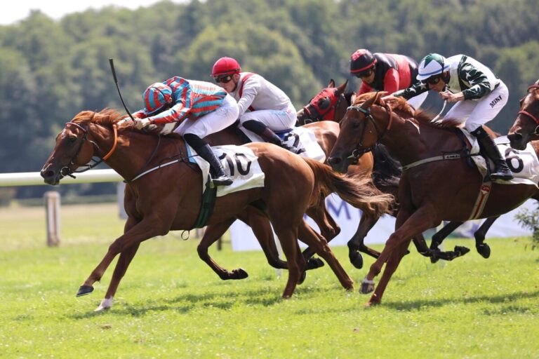 Außenseiterin Rosswita siegt im ersten Viererwettenrennen