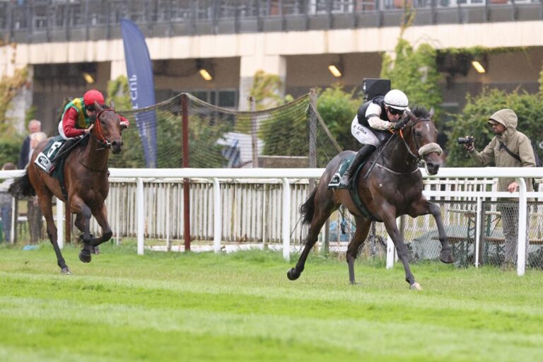 Son of England siegt unter David Liska