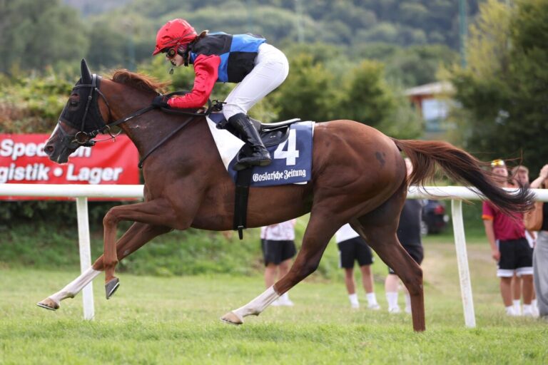 Wie im Jahr 2024 – Potters und Statement setzen Zeichen im Harz