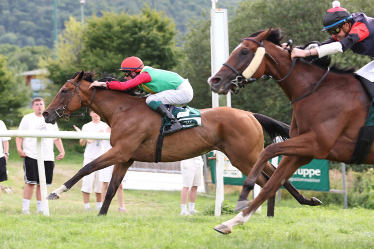 Favoritin Summerwind im letzten Flachrennen vorne