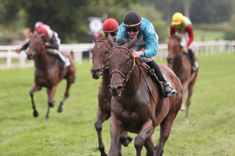 Tex Lot letzte Flachsiegerin des Harzburger Meetings