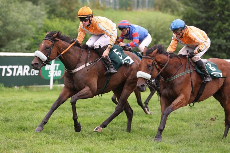 Na klar – Fuhrmann-Viererwette im Fliegerhandicap