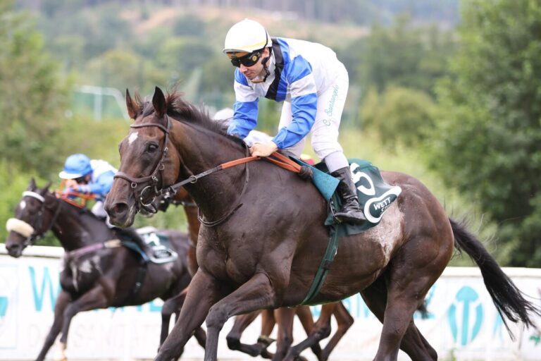 Vicente erster Sieger am Harzburg-Sonntag