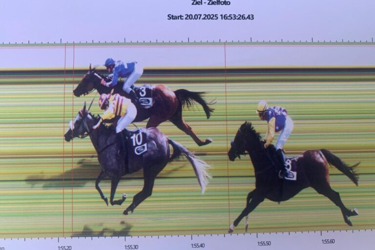 Podcast-Tipp Angel Park gewinnt Viererwetten-Rennen in Bad Harzburg