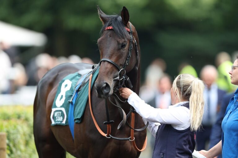 Um 8:30 Uhr: Das ist der aktuelle Derby-Favorit