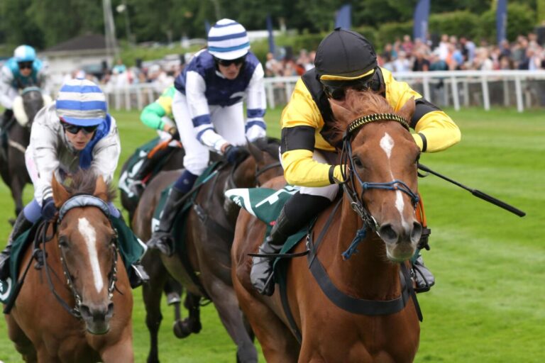 Dritter Fav-Sieg: Auch Aleja wird im Amazonenreiten Einschätzung gerecht