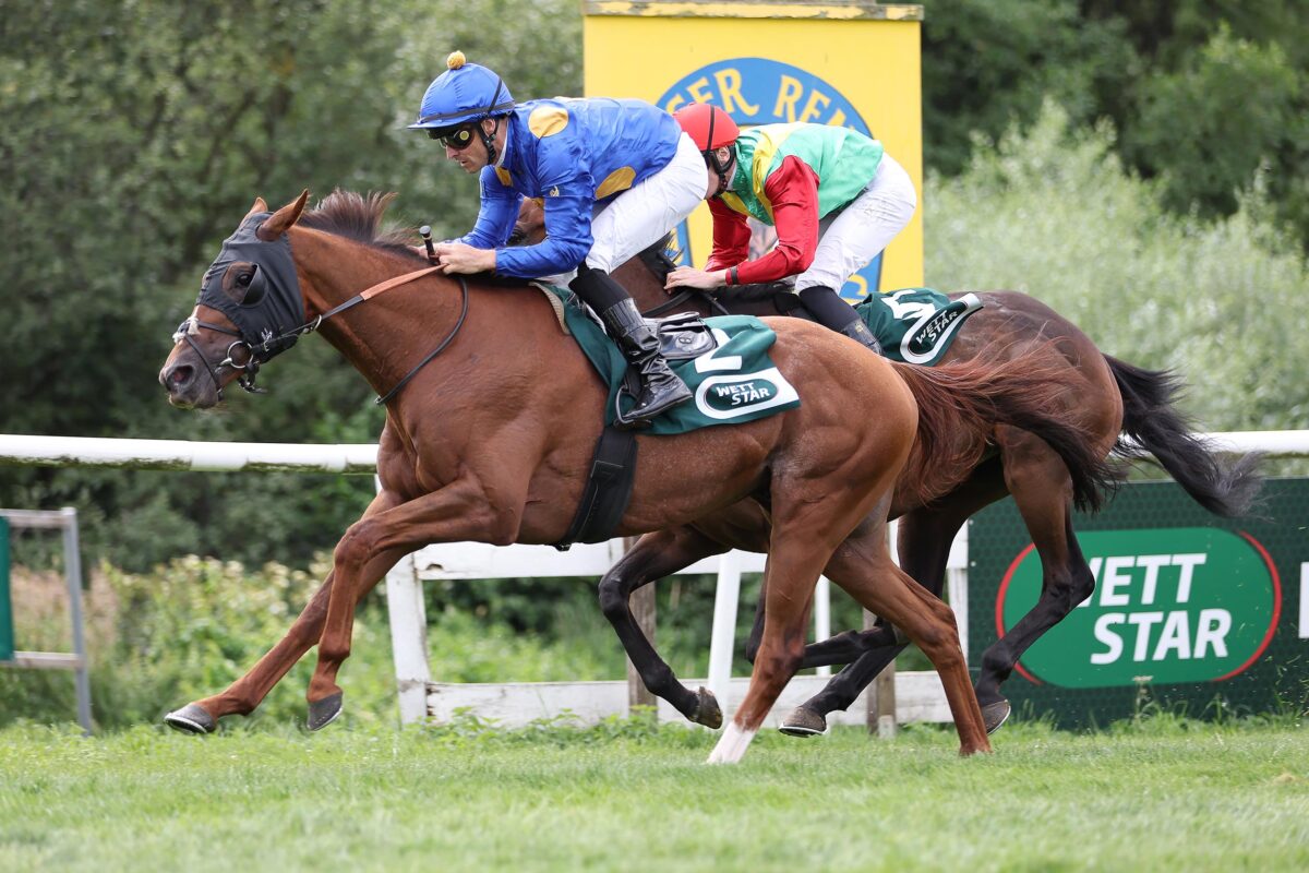 Pry silva nua youve gotta take the opportunity to see her