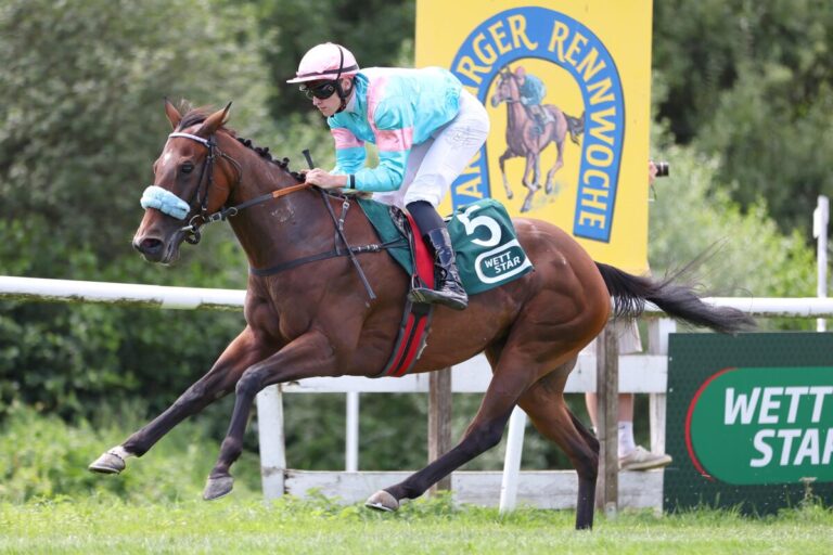 Auftakt am Weißen Stein: Donamay ganz leicht bei Grewe-Debüt