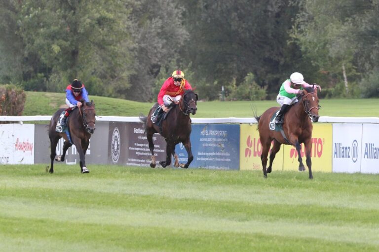 Wöhlers Youngster Gostam beim Debüt mit bärenstarker Leistung