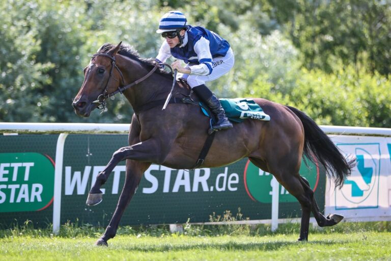 „Mund abputzen und improvisieren“ – My Lady Dabandy zeigt Riesenspeed