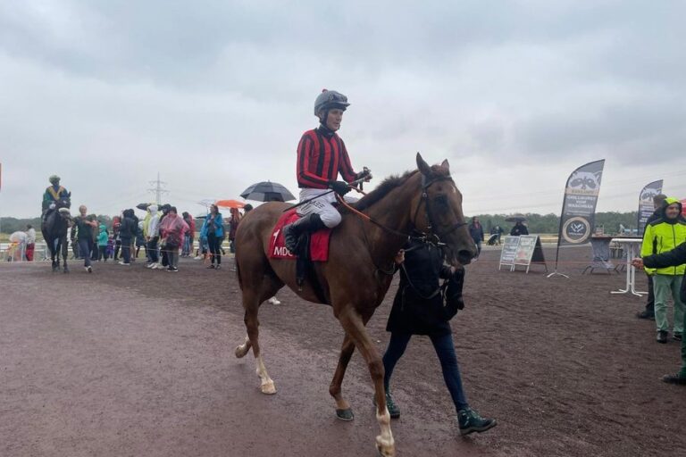 Mr Pablo kann lesen und zeigt endlich „das“ was er kann