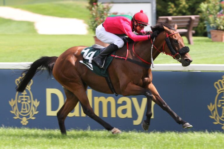 13,5:1! Viel Geld für Boysens Riem-Spezialistin Picnic En Ville