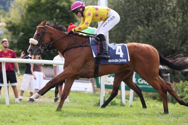 „Eigentlich zu kurz“: Tiffany Twisted überrascht nicht nur ihre Reiterin