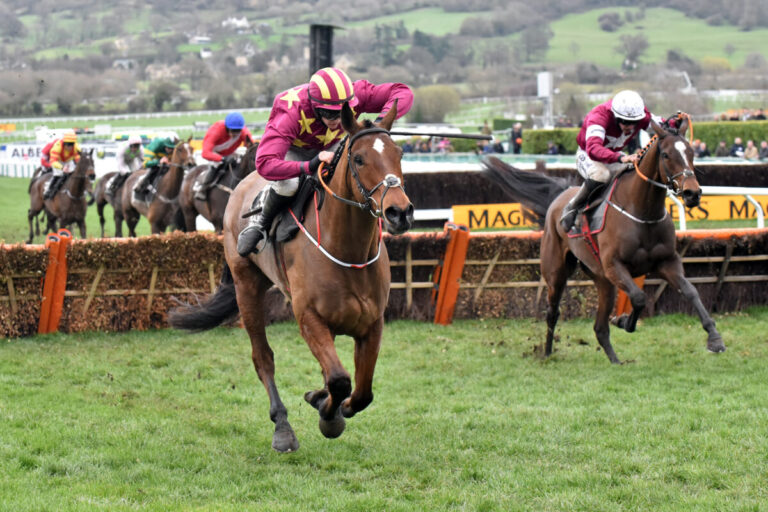 Gold Cup-Hero Minella Indo macht Schluss