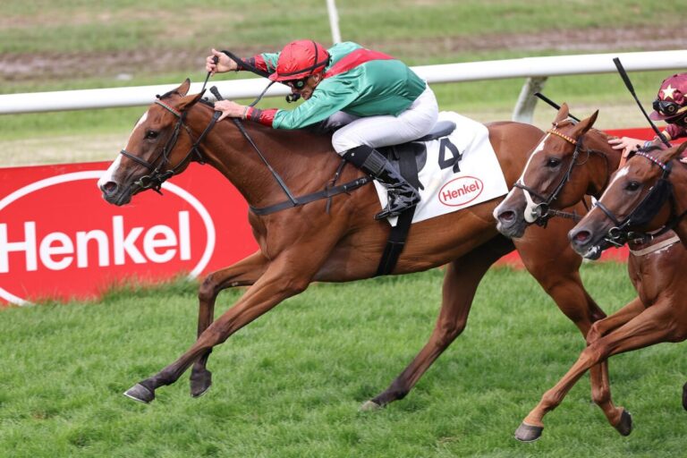 Bacarda Start-Ziel zum Auktionsrennen-Sieg