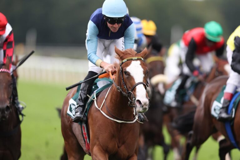 Waldpfad-Tochter Calissa wieder top: Zweiter Sieg beim vierten Start