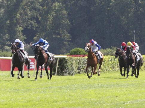 Rebel's Romance stabil bei 101 Kilo - Cold Heart auf 95,5 Cold Heart (3.v.li.) konnte sein GAG steigern