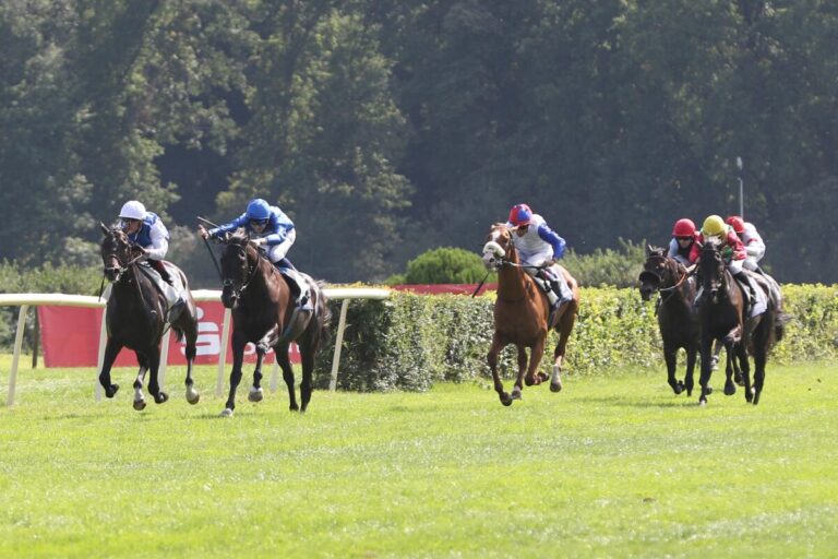 Cold Heart (3.v.li.) konnte sein GAG steigern