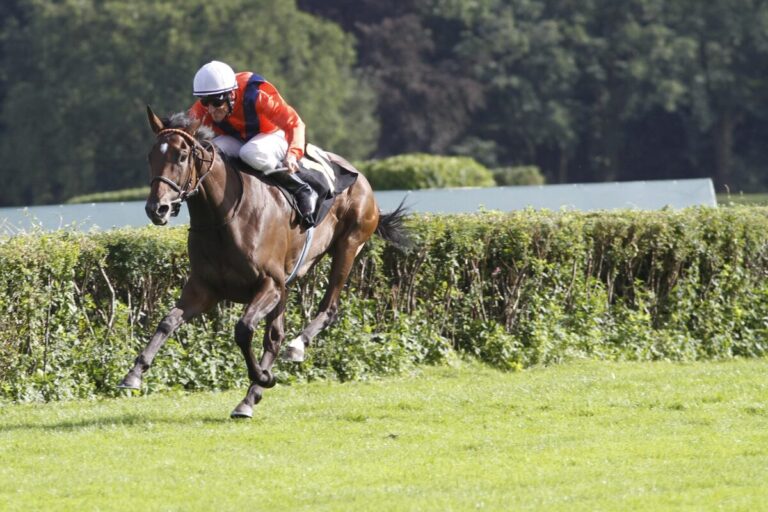 Danedream gewinnt den Großen Preis im Jahr 2011