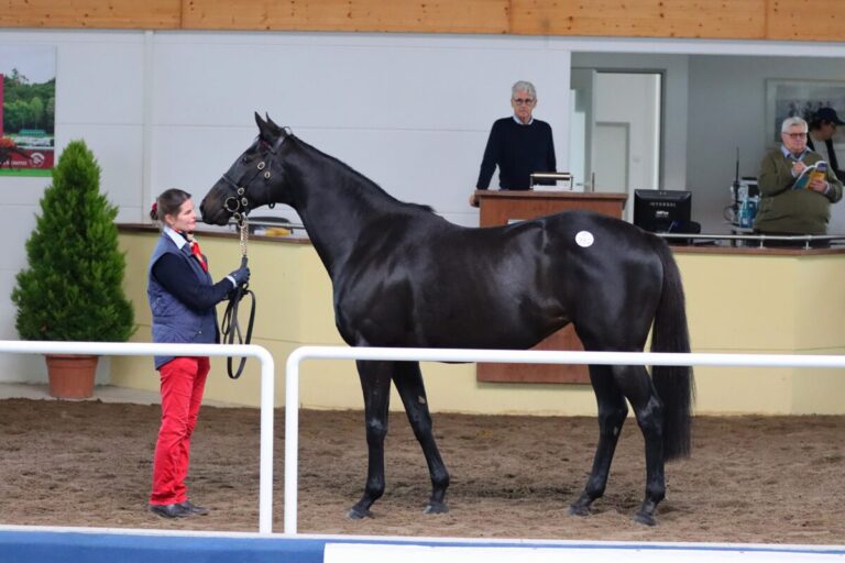 Auch 2025 heißt es wieder „Mit Vollblut in die Zukunft“