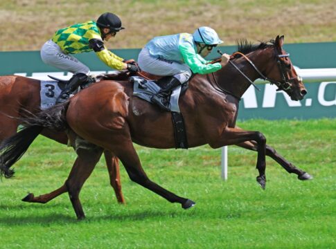 Kämpfer siegt unter Rene Piechulek im Stall Siepenblick 2.8 - Steher Cup