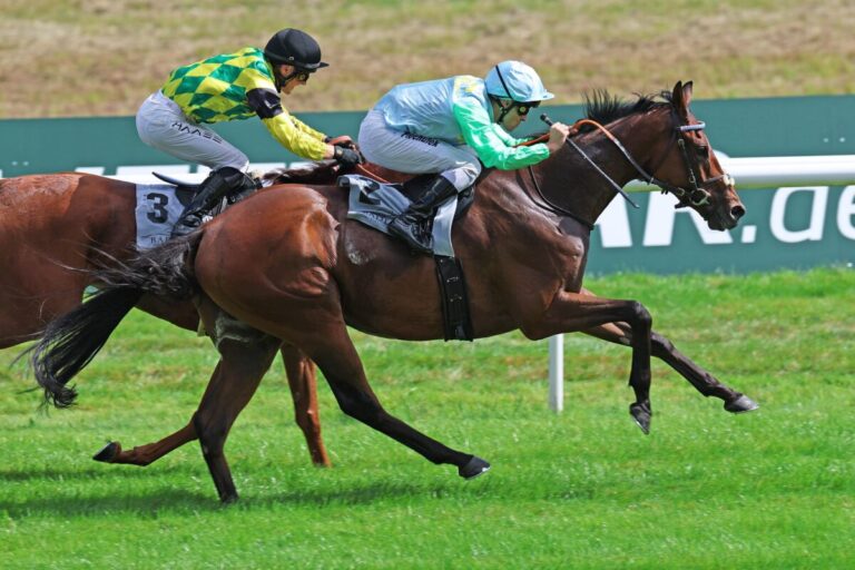 Kämpfer siegt unter Rene Piechulek im Stall Siepenblick 2.8 - Steher Cup