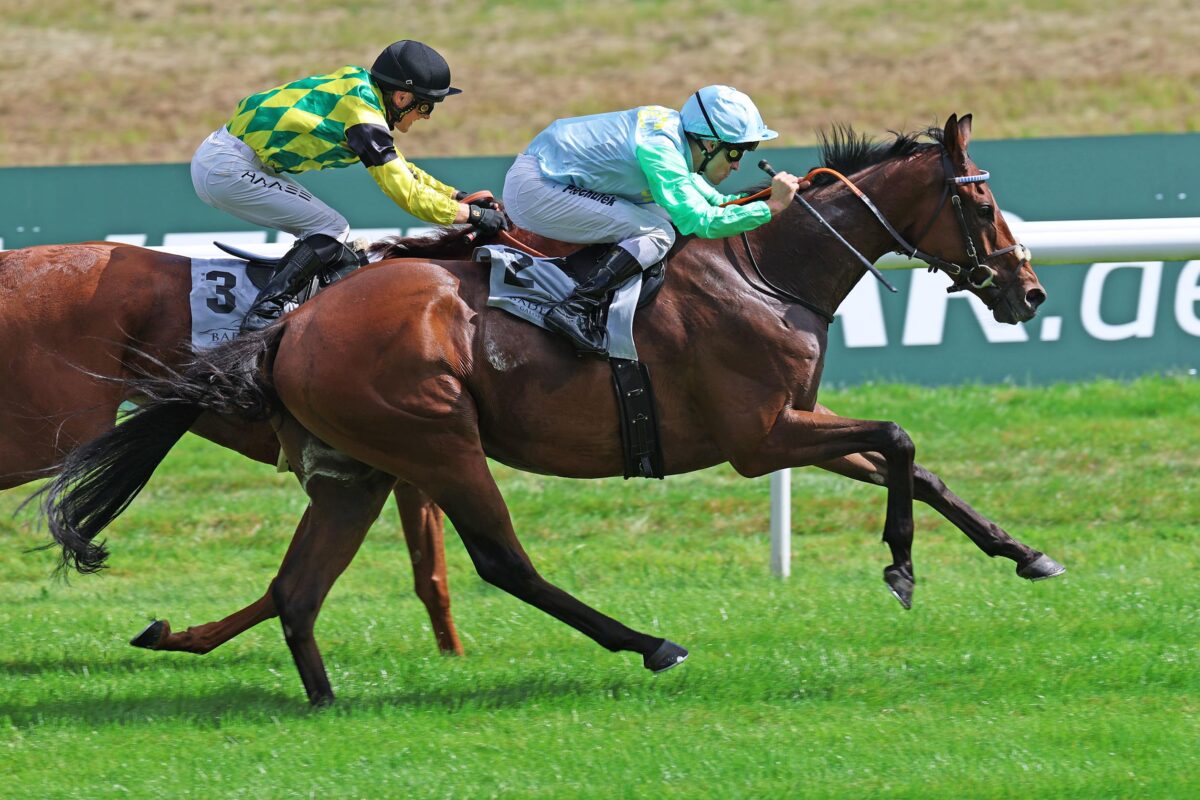 IntenseFocusedDetermined Gaze