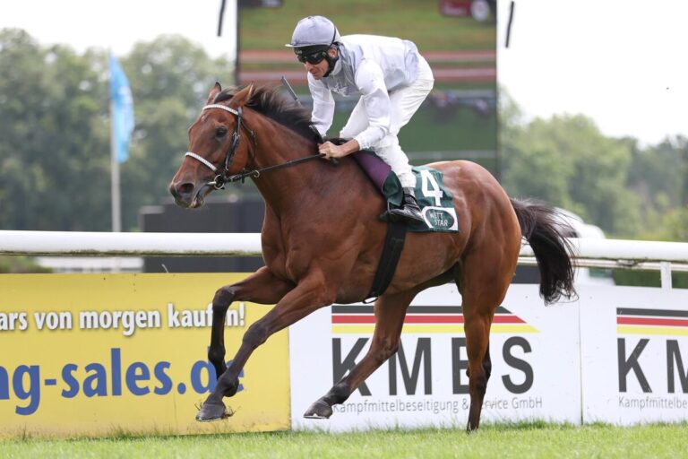 Adrie sitzt wie im Kino – Karisoke auf 1600 Metern hochüberlegen