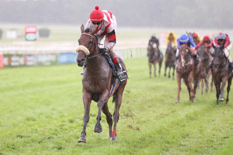 Natürlich Adlerflug – Lynario auf schwerer Bahn eine Klasse für sich