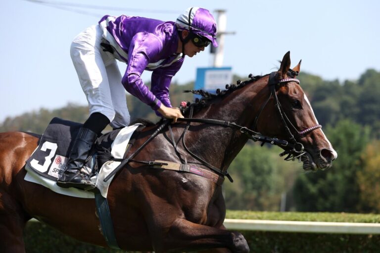 Nicosia siegt unter Pablo Werder