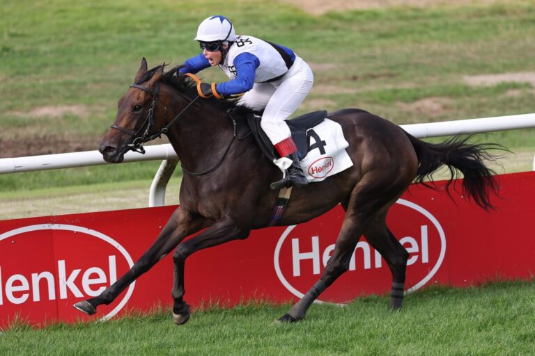 „Gamble“ Shoko Lady gewinnt zum Abschluss