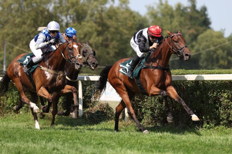 Doro siegt unter Kevin Braye