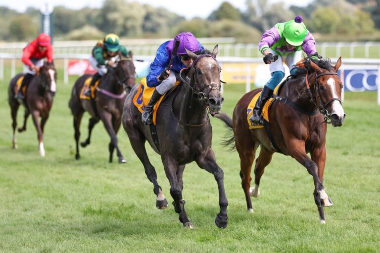 Wow! Rue Michel Ange holt drittes Iffezheim-Highlight für Steinberg/Piechulek-Team