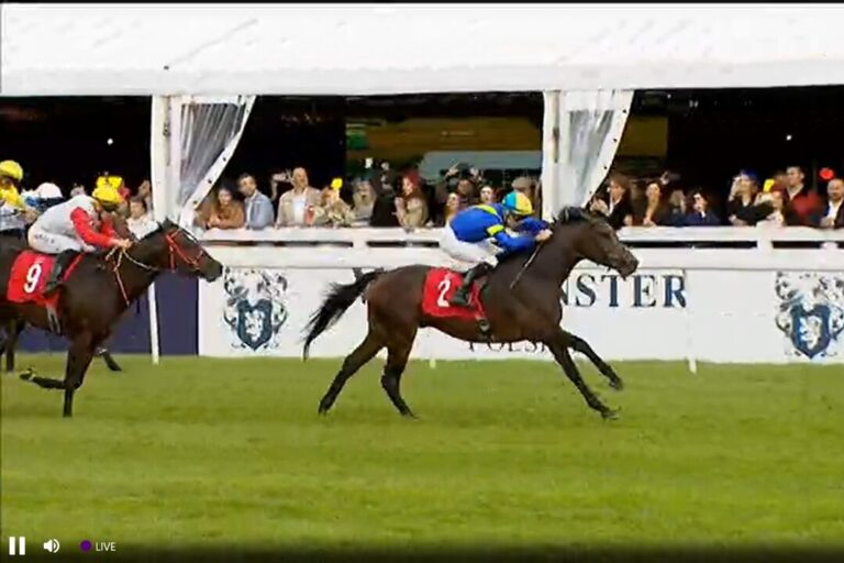 Top-Rennen in Warschau: Lady Monia Fünfte, Kosakenzipfel Neunter