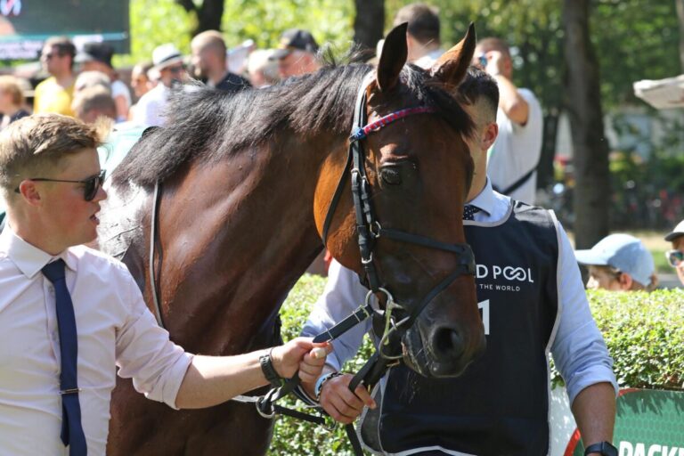 Dubai Honour im Iffezheimer Führring im Jahr 2024