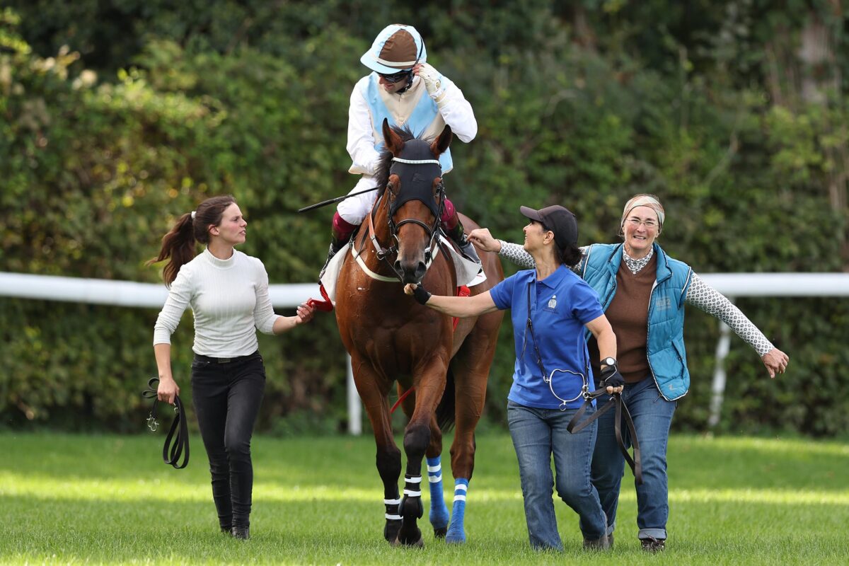 Luisa chavarria onlyfans follow Discuss · UNDRESS AI AI SEX