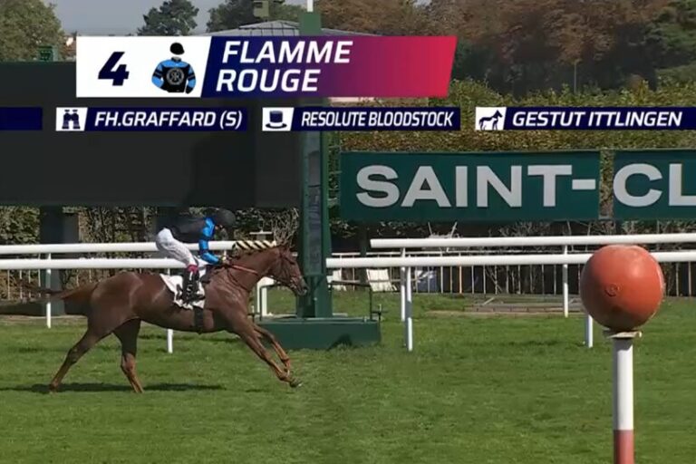 Vier aus vier – Resolute-Stute aus Ittlingen-Zucht marschiert