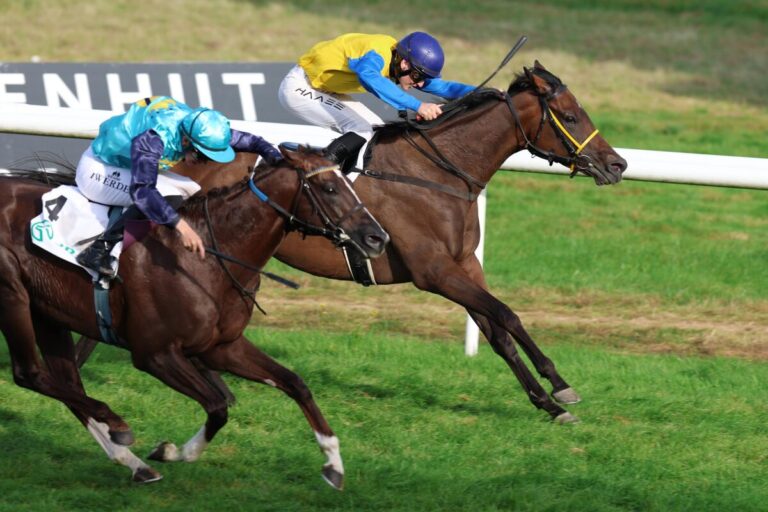 Free Folie siegt unter Michal Abik