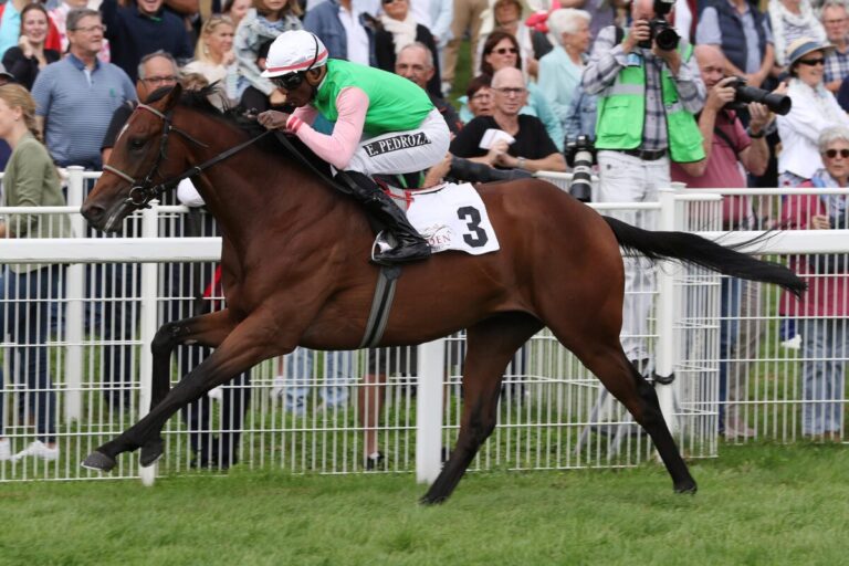 Köln: Acht Rennen – Sieben Gegner für Gostam