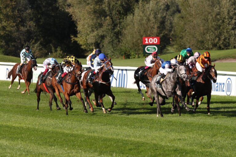 Heimsieg durch Grey Darling – Schimmelstute vorne für Hillis