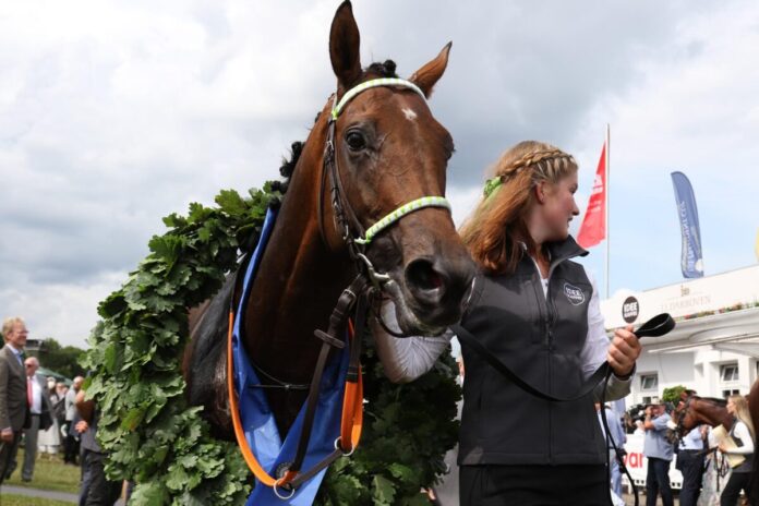 Hochkönig nach dem Derbysieg von Hamburg