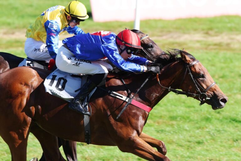 Auch David Liska mit drittem Meetingstreffer